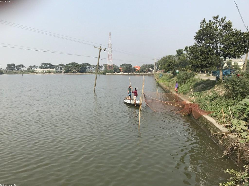 ពីការបាញ់ត្រីដល់ការតែងនិទាន