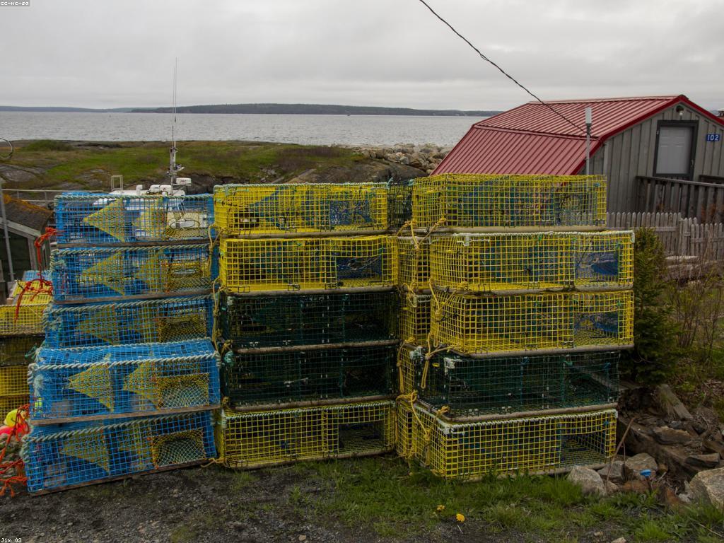 ពីការបាញ់ត្រីដល់ការតែងនិទាន