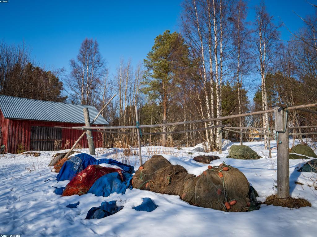 ពីការបាញ់ត្រីដល់ការតែងនិទាន