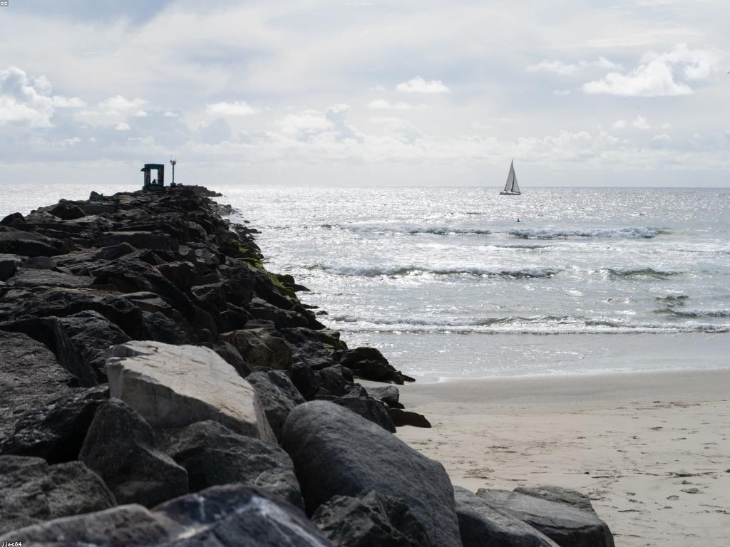 ចំនេះដឹងអំពីការបាញ់ត្រី