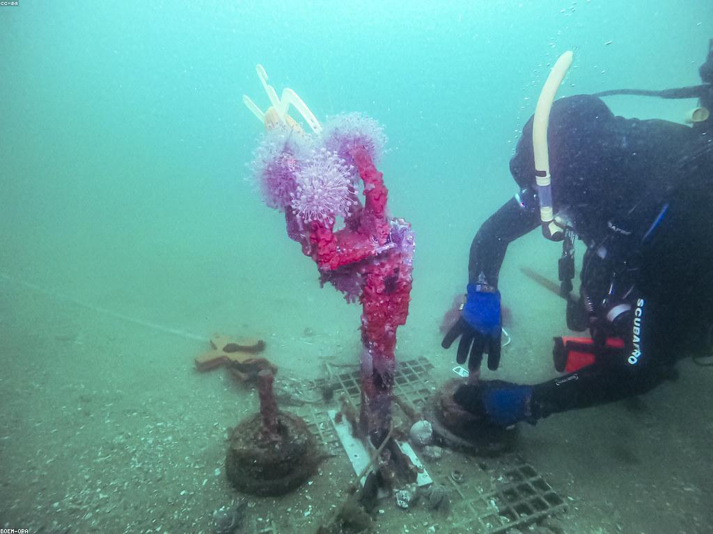 ចំនេះដឹងអំពីទីតាំងស្នាក់នៅរបស់ត្រី