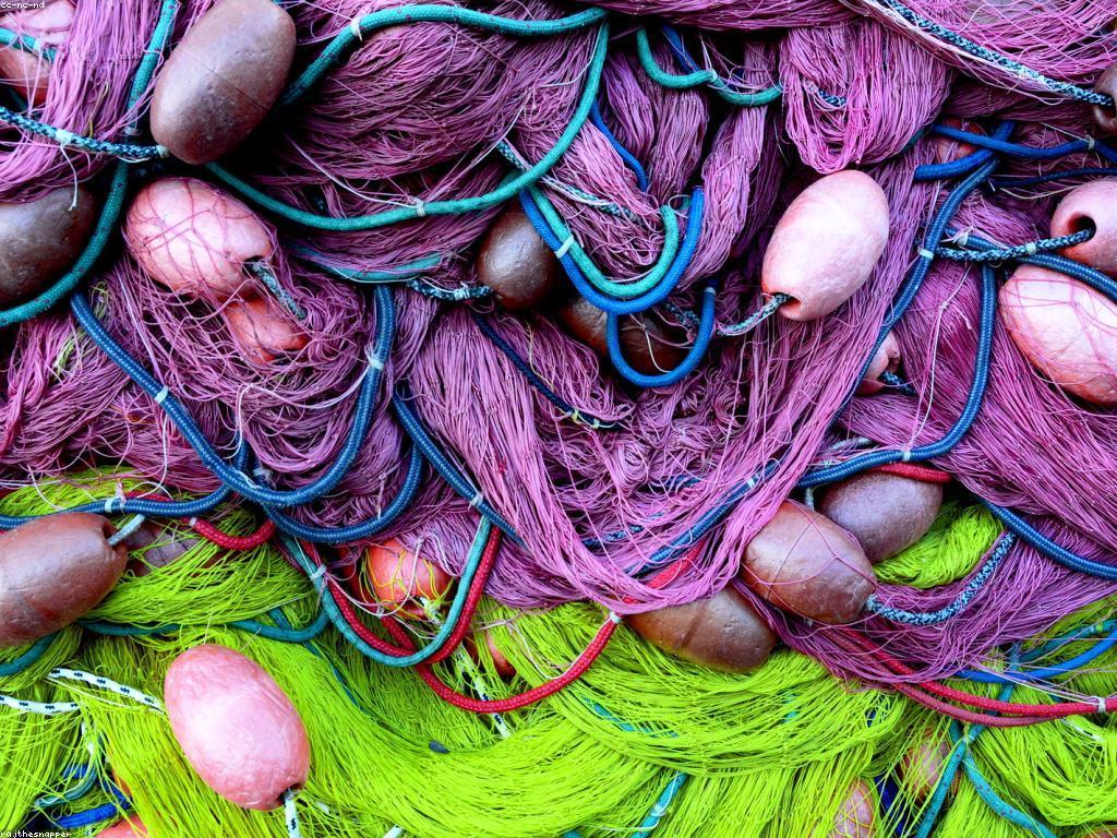 ការជ្រើសរើសឧបករណ៍បាញ់ត្រី