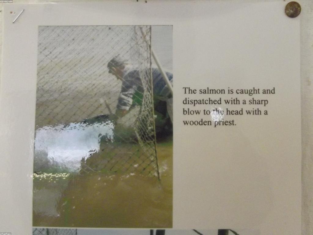 ចំណេះដឹងអំពីការបាញ់ត្រី