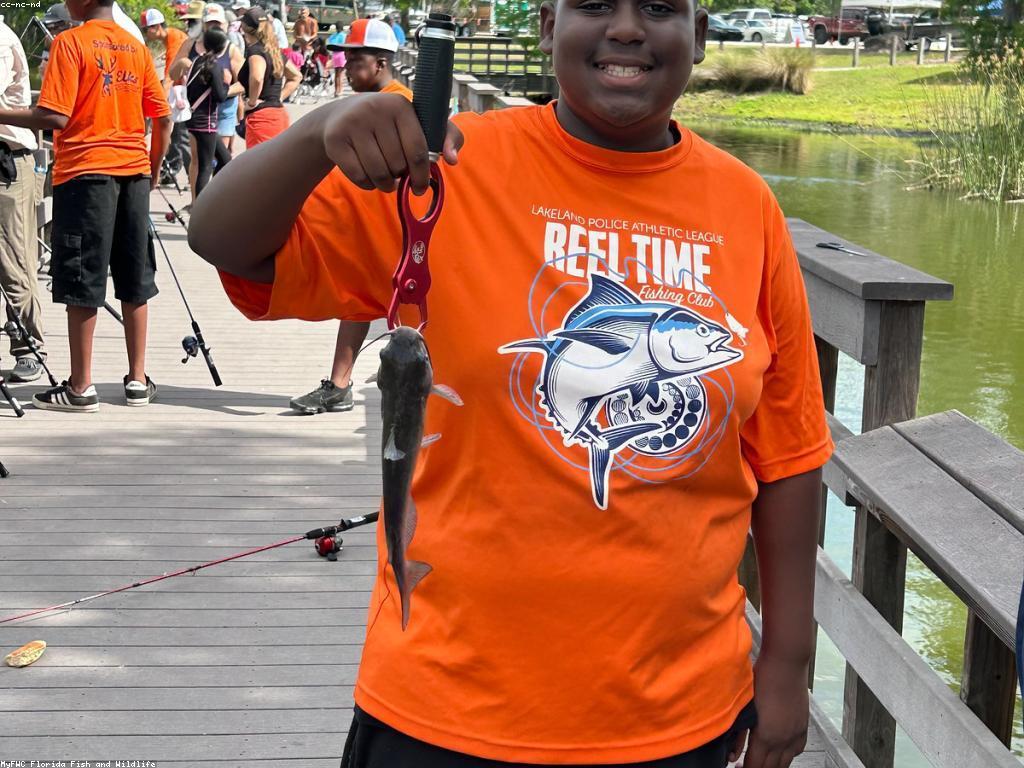 គន្លឹះដ៏មានប្រយោជន៍សម្រាប់អ្នកថ្មី