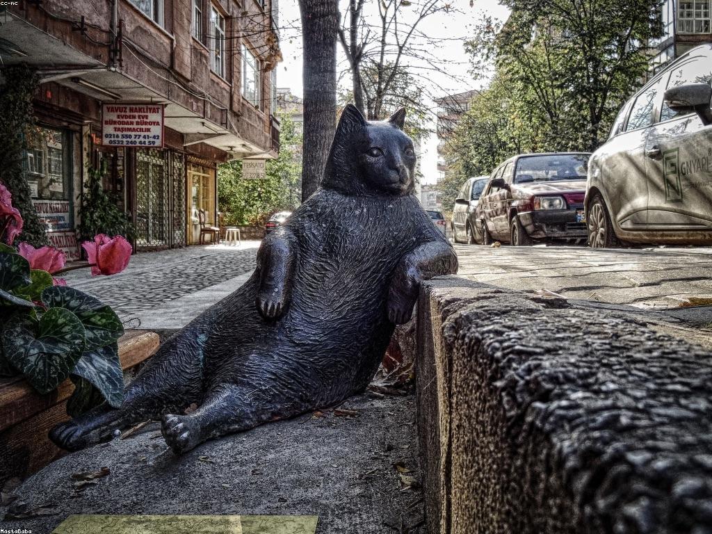 ការណែនាំសម្រាប់អ្នកថ្មី: ដំណើរការសំខាន់ក្នុងការចាប់ផ្តើម