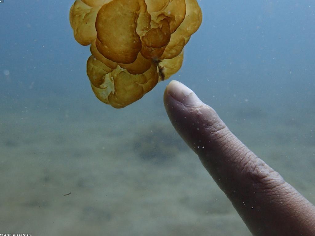 ចំនេះដឹងអំពីទីតាំងស្នាក់នៅរបស់ត្រី