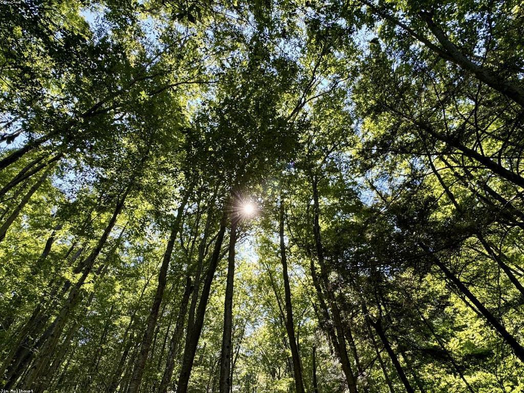 ការស្វែងរកទីកន្លែងបាញ់ត្រីល្អនៅកម្ពុជា: មាសសម្រាប់អ្នកស្រលាញ់ការបាញ់ត្រី