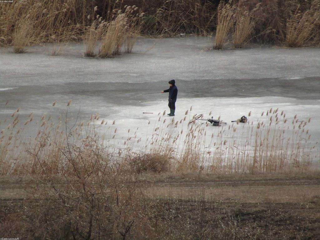 ចំនេះដឹងអំពីការបាញ់ត្រី